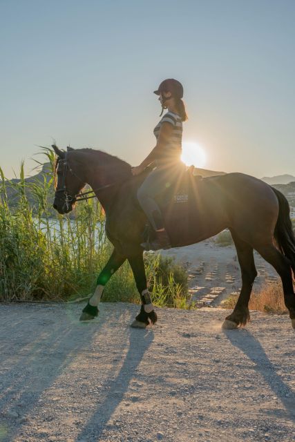 CHR - Crete Horse Riding: East Coastline Ride - Coastal Beauty of Libyan Sea