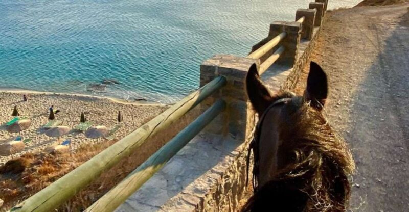 CHR - Crete Horse Riding: East Coastline Ride - Well-Trained Horses and Experienced Guides