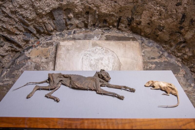 Christ Church Cathedral Entrance Ticket & Self-Guided Tour - Meeting Point and Opening Hours
