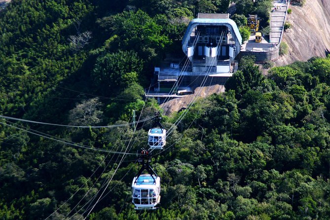 Christ Redeemer Skip the Line by Train, Maracanã With Lunch and Sugar Loaf - Tour Logistics