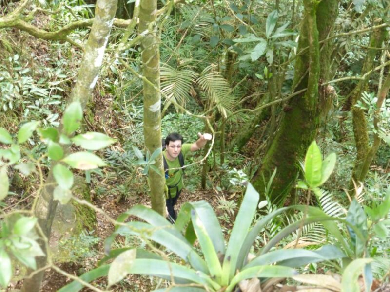 Christ the Redeemer Hiking: Journey to Rios Iconic Landmark - Hiking Through Parque Nacional Da Tijuca