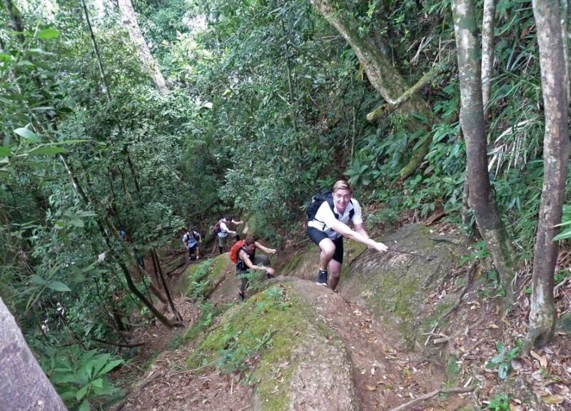 Christ the Redeemer Through Lage Park 6-Hour Hiking Tour - Hiking Through Lage Park