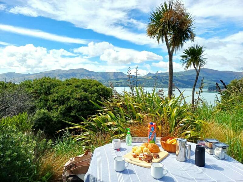 Christchurch: 1/2-Day Scenic Highlights Small Group Tour - Sumner Beach – A Relaxing Finish