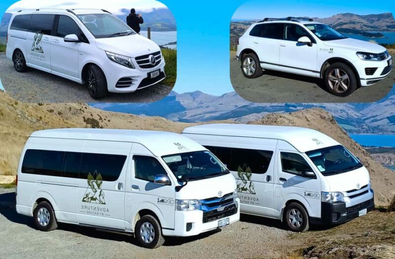 Christchurch: 1/2-Day Scenic Highlights Small Group Tour - Authentic Experiences and Authentic Attention