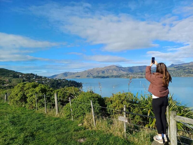 Christchurch: 1/2-Day Scenic Highlights Small Group Tour - Practical Details for Travelers