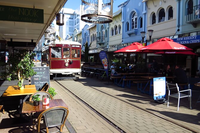 Christchurch - City, Beaches, Port & More by Tesla -6hrs - Customized Experience