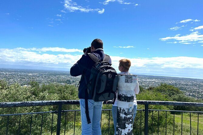 Christchurch City Top Sights Half Day Tour(Small Group Tour) - A Detailed Look at the Tour Experience