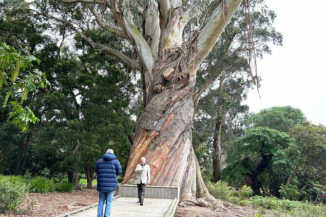 Christchurch City Top Sights Half Day Tour(Small Group Tour) - The Sum Up
