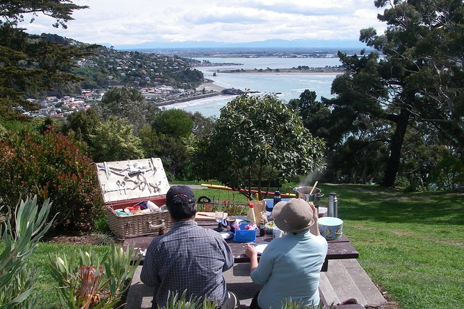 Christchurch Coastal Hiking Tour - Coastal Hike Highlights