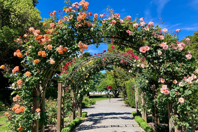 Christchurch Exploration Tour - Activity Duration