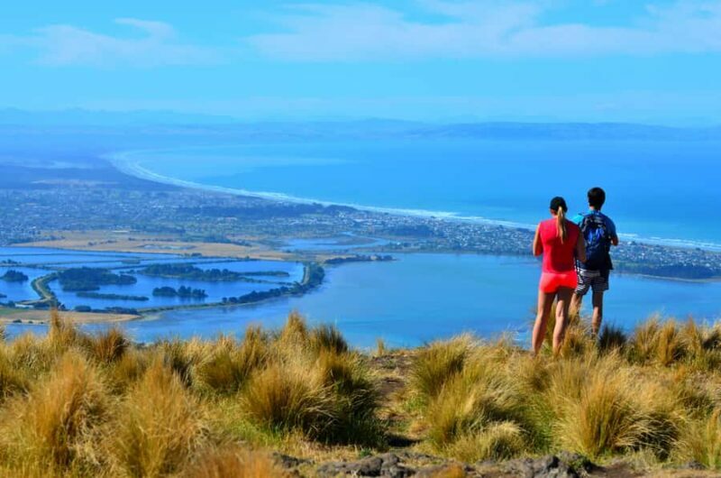 Christchurch: Full or Half-Day Rock Climbing Tour with Guide - Transportation, Duration, and Group Size