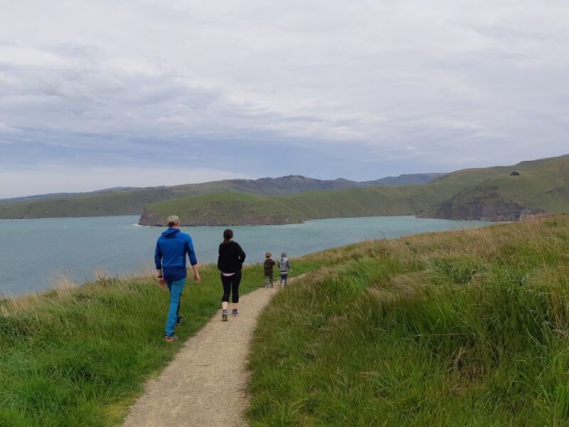 Christchurch: Godley Head & Lyttelton Guided Walking Tour - Key Attractions