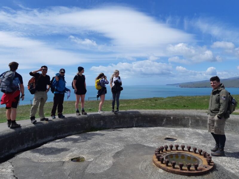 Christchurch: Godley Head & Lyttelton Guided Walking Tour - Walking Experience