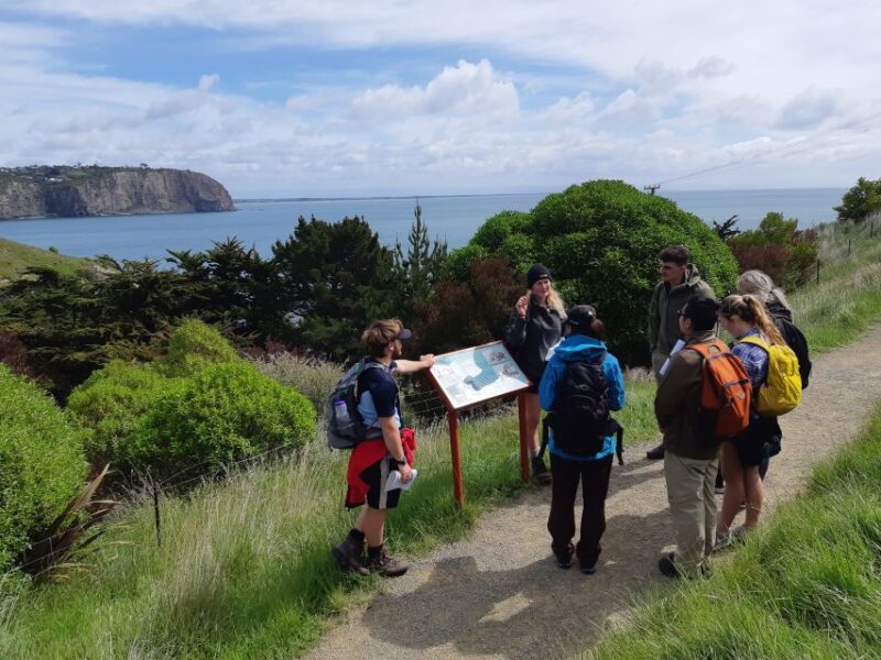 Christchurch: Godley Head & Lyttelton Guided Walking Tour - Accessibility and Weather