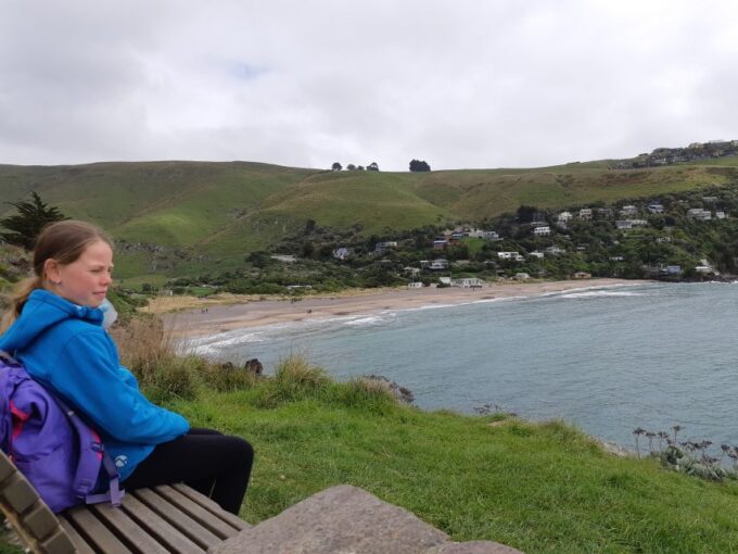 Christchurch: Godley Head & Lyttelton Guided Walking Tour - Booking and Logistics