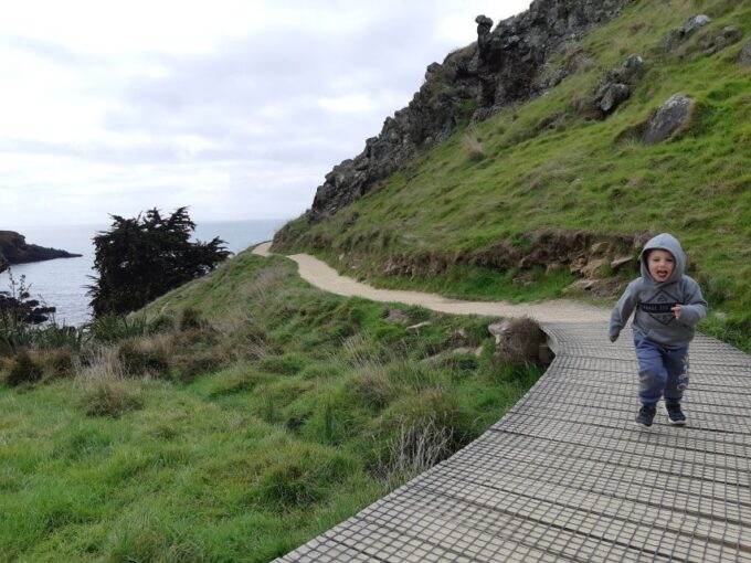 Christchurch: Godley Head & Lyttelton Guided Walking Tour - Frequently Asked Questions