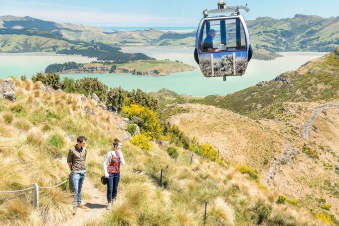 Christchurch Gondola and Tram City Tour Combo - Facilities at the Summit