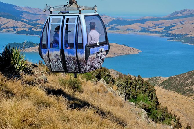 Christchurch Gondola Ride Ticket - Aerial Journey and Views