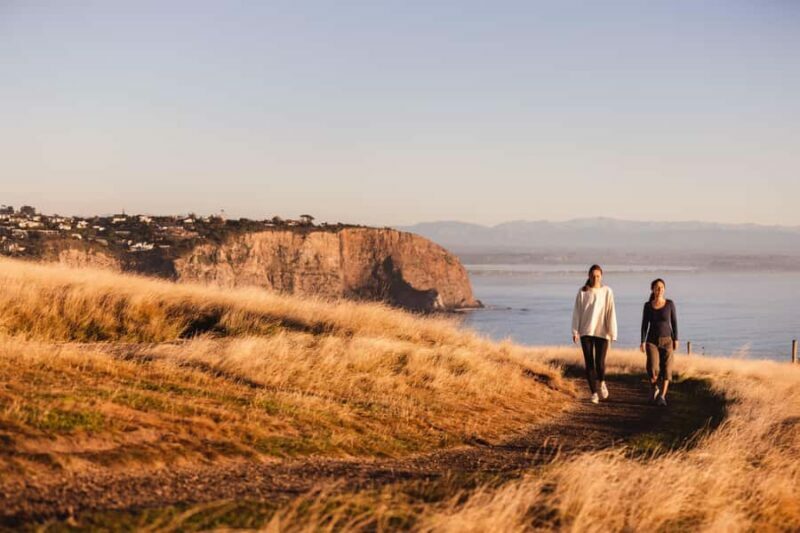 Christchurch: Guided Crater Rim Walk with Coastal Scenery - An Honest Look at a Top Outdoor Experience Near Christchurch
