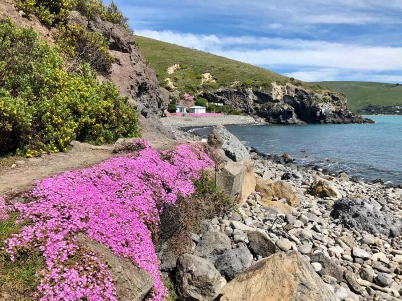Christchurch: Guided Crater Rim Walk with Coastal Scenery - The Experience: Quality and Authenticity