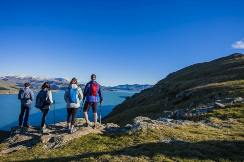 Christchurch: Guided Crater Rim Walk with Coastal Scenery - Value and Practical Details