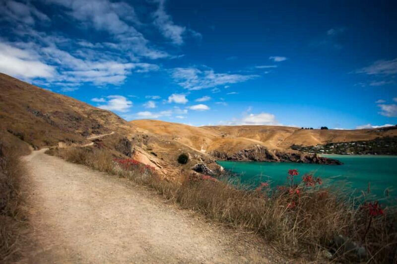 Christchurch: Guided Crater Rim Walk with Coastal Scenery - FAQ