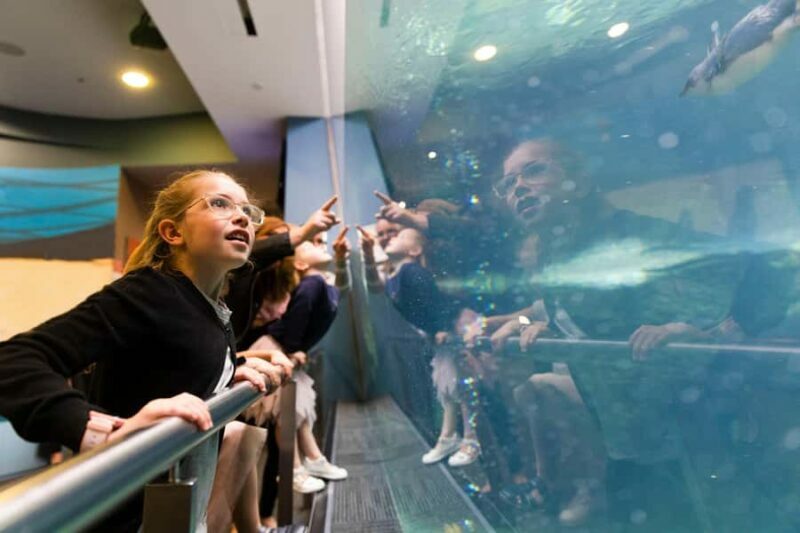 Christchurch International Antarctic Centre Entry Tickets - The Sum Up: Is It Worth It?