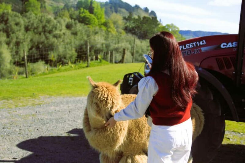 Christchurch: Lake Tekapo Stargazing & Mount Cook 2-Day Tour - Day 1: From Christchurch to Mount Cook and Lake Tekapo