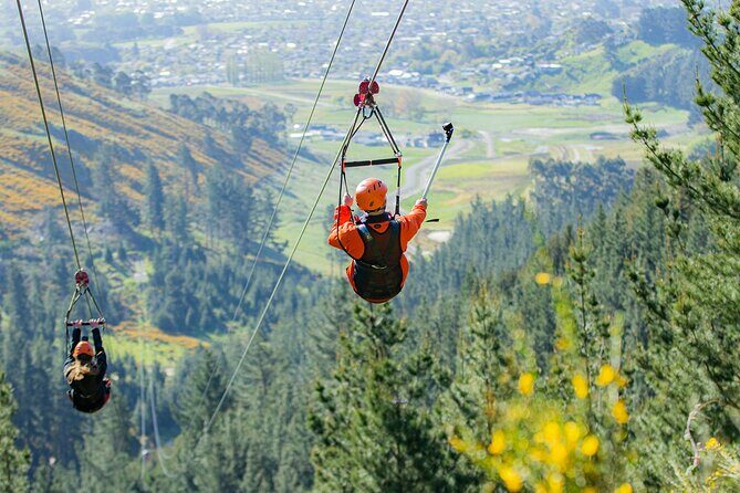 Christchurch Long Ride Zipline - Who Will Love This Experience?