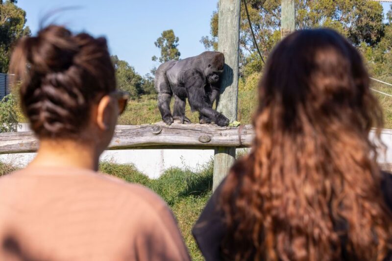 Christchurch: Orana Wildlife Park Admission - Visitor Amenities and Facilities
