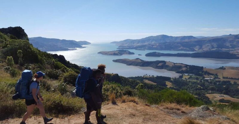 Christchurch: Packhorse Hut Guided Walk and Scenic Drive - Key Points