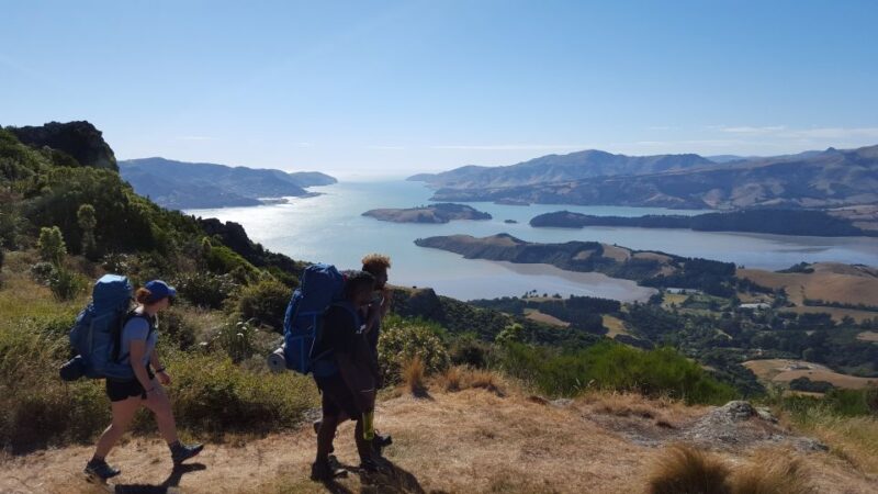 Christchurch: Packhorse Hut Guided Walk and Scenic Drive - Tour Highlights