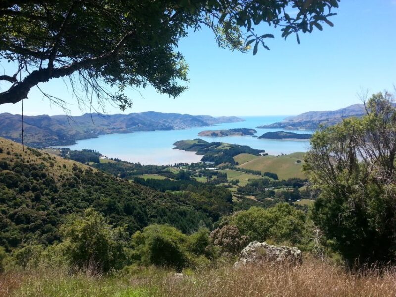 Christchurch: Packhorse Hut Guided Walk and Scenic Drive - Inclusions
