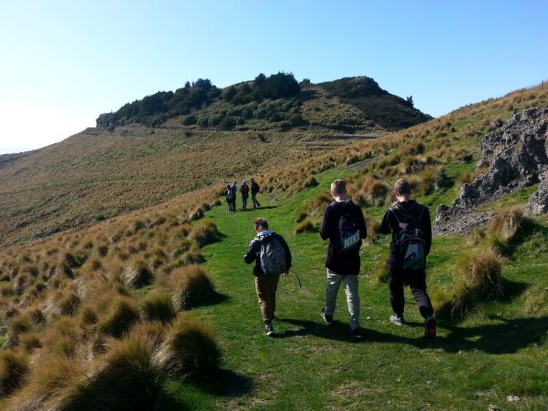 Christchurch: Packhorse Hut Guided Walk and Scenic Drive - Scenic Drive and Hiking