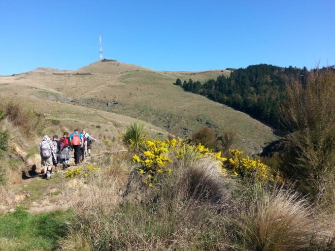 Christchurch: Packhorse Hut Guided Walk and Scenic Drive - Frequently Asked Questions