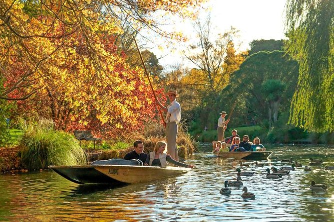 Christchurch Private Luxury Full Day Tour - Customer Reviews and Feedback