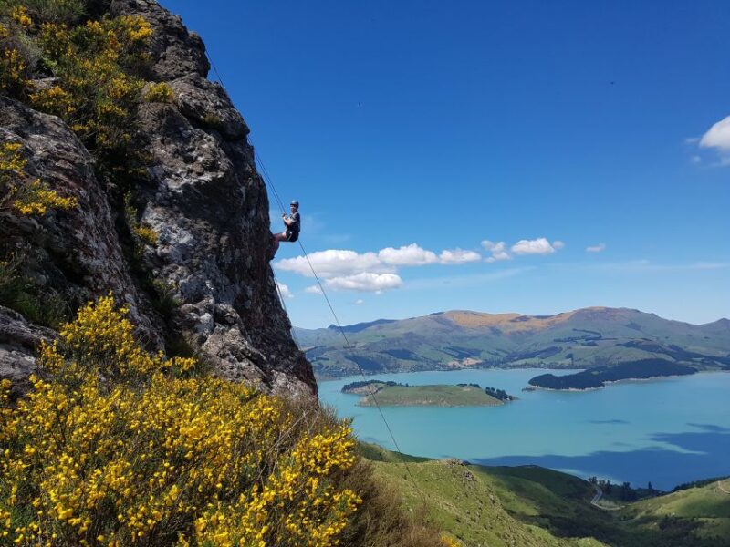 Christchurch: Rock Climbing With Guide, Lunch, and Transport - Important Information