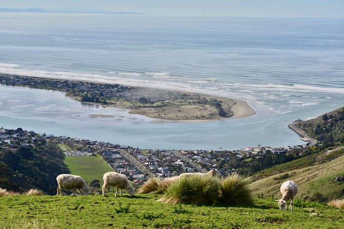 Christchurch Scenic Tour (Half-Day Tour) - Pickup Information