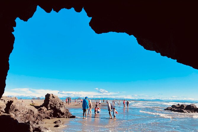 Christchurch Scenic Tour (Half-Day Tour) - Christchurch Highlights