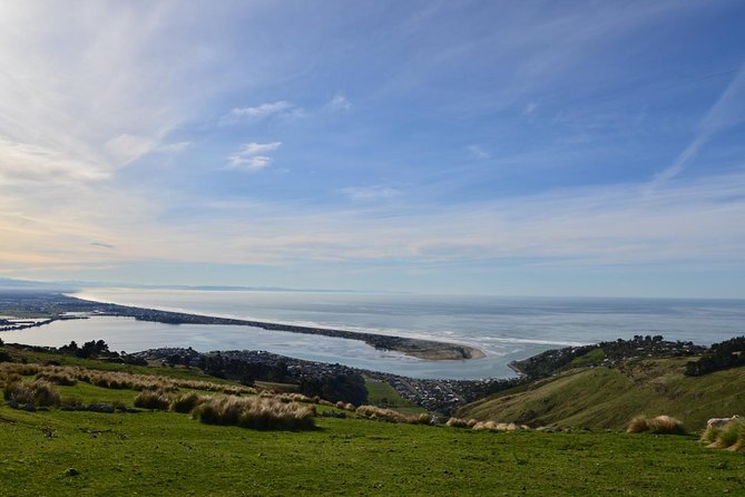 Christchurch Scenic Tour (Half-Day Tour) - Scenic Landscapes