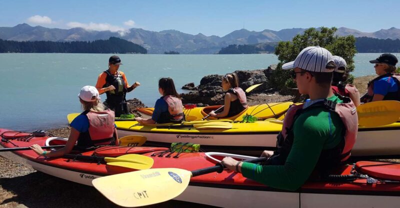 Christchurch: Sea Kayaking Tour of Lyttelton Harbour - Activity Highlights