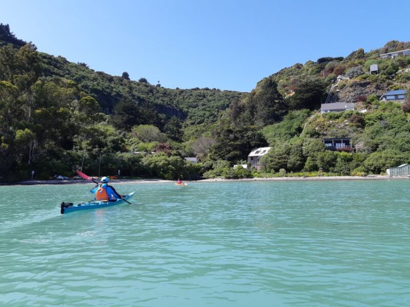 Christchurch: Sea Kayaking Tour of Lyttelton Harbour - Participant Information