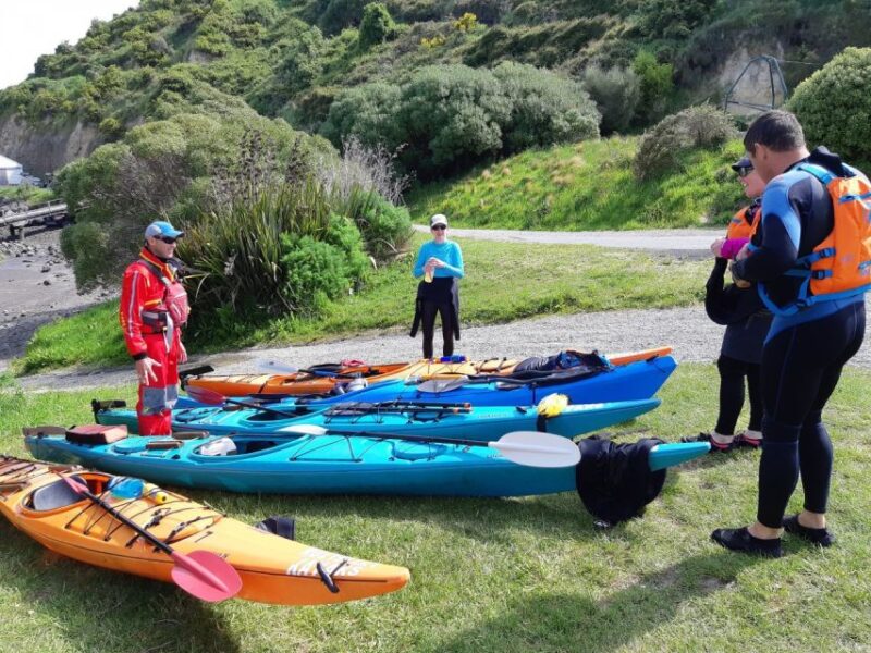 Christchurch: Sea Kayaking Tour of Lyttelton Harbour - Customer Feedback