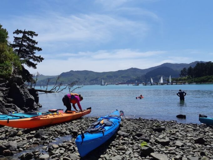 Christchurch: Sea Kayaking Tour of Lyttelton Harbour - Safety and Equipment