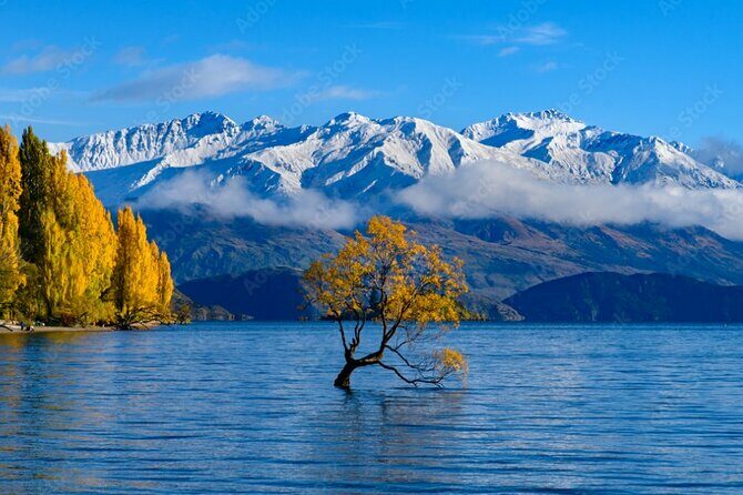 Christchurch to Queenstown 2 Day Tour via Franz Josef - Day 1: From Christchurch to Franz Josef