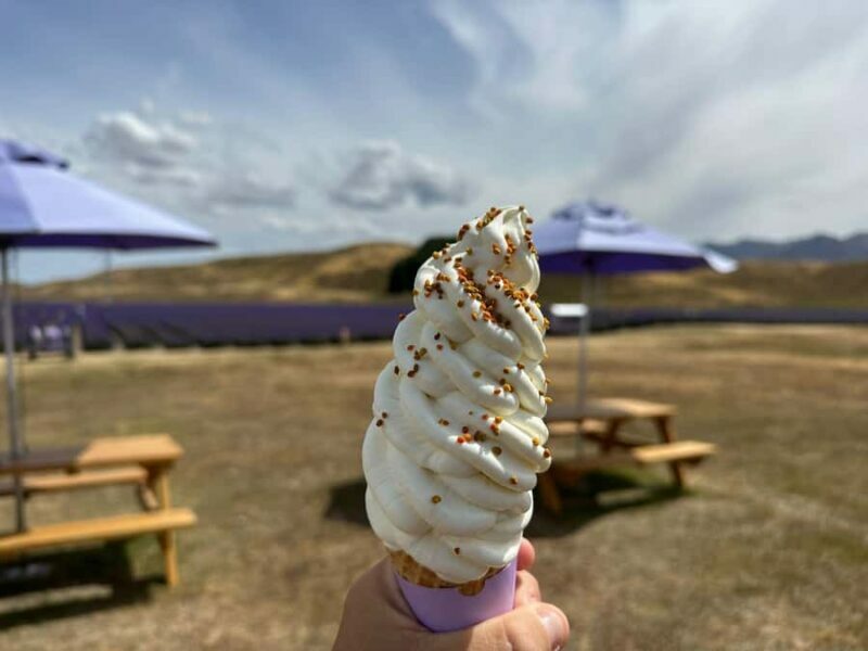 Christchurch: to Queenstown via Mt Cook 1 Way Tour - FAQs