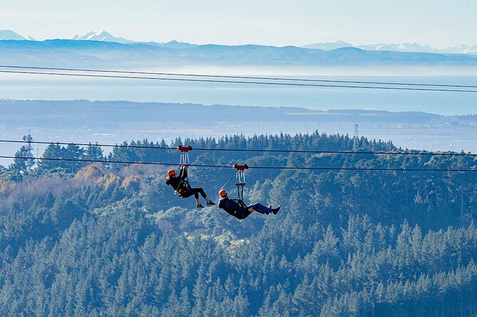 Christchurch Zipline Tour - Tour Itinerary and Schedule