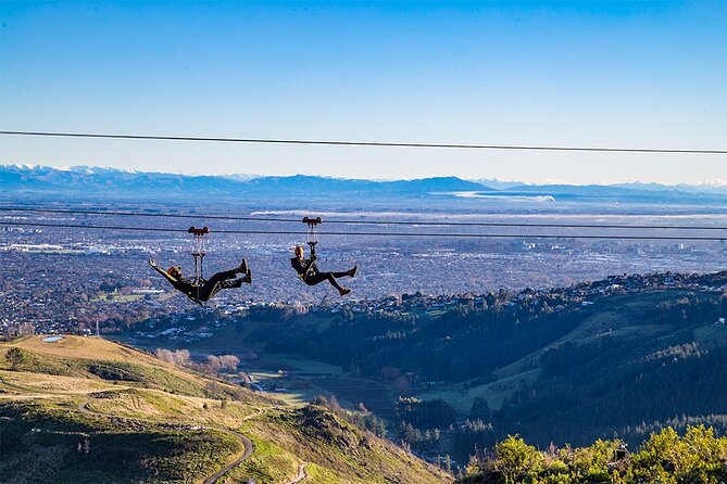 Christchurch Zipline Tour - Visitor Reviews and Testimonials