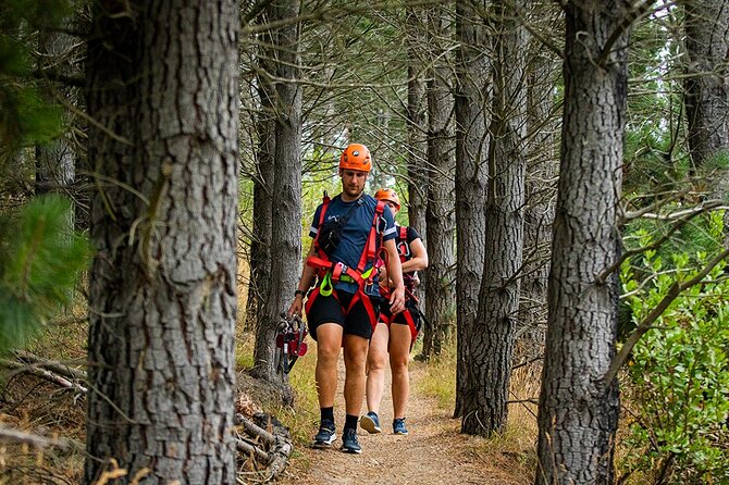 Christchurch Zipline Tour - Preparing for the Adventure