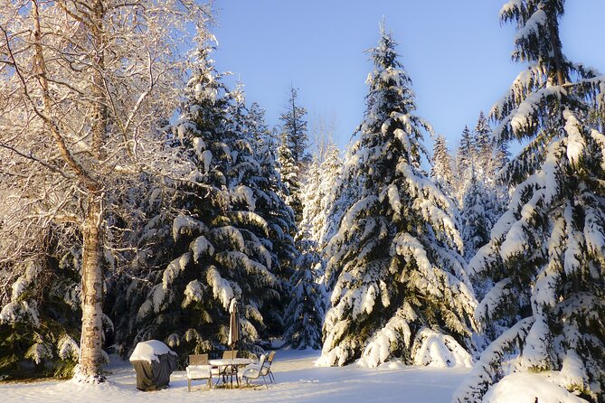 Christmas Charms of Manchester - Private Walking Tour - Highlights of the Tour